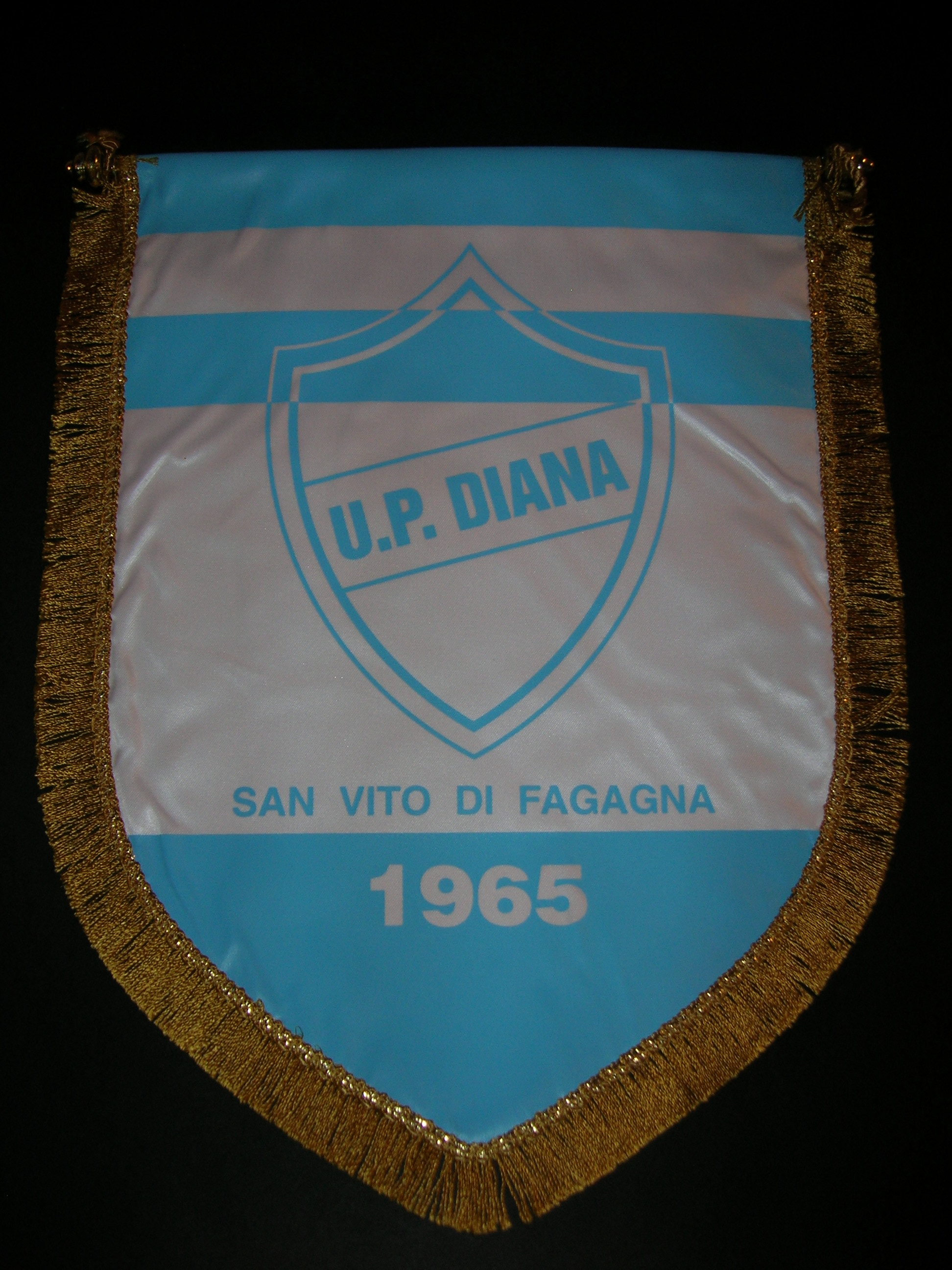 UP. Diana  S. Vito di Fagagna 176